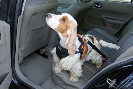 Szelki samochodowe + smycz bezpieczeństwa dla psa Air 3D rozmiar S Czarne